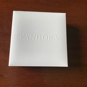 Pandora Necklace